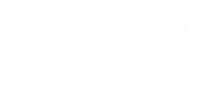 BJRaw